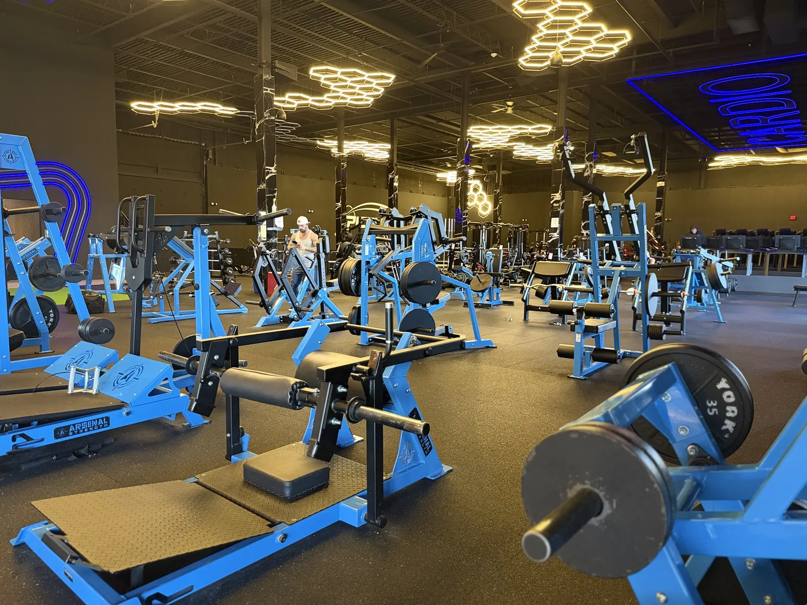 Blue-framed benches, racks and plate-loaded machines on the weight floor