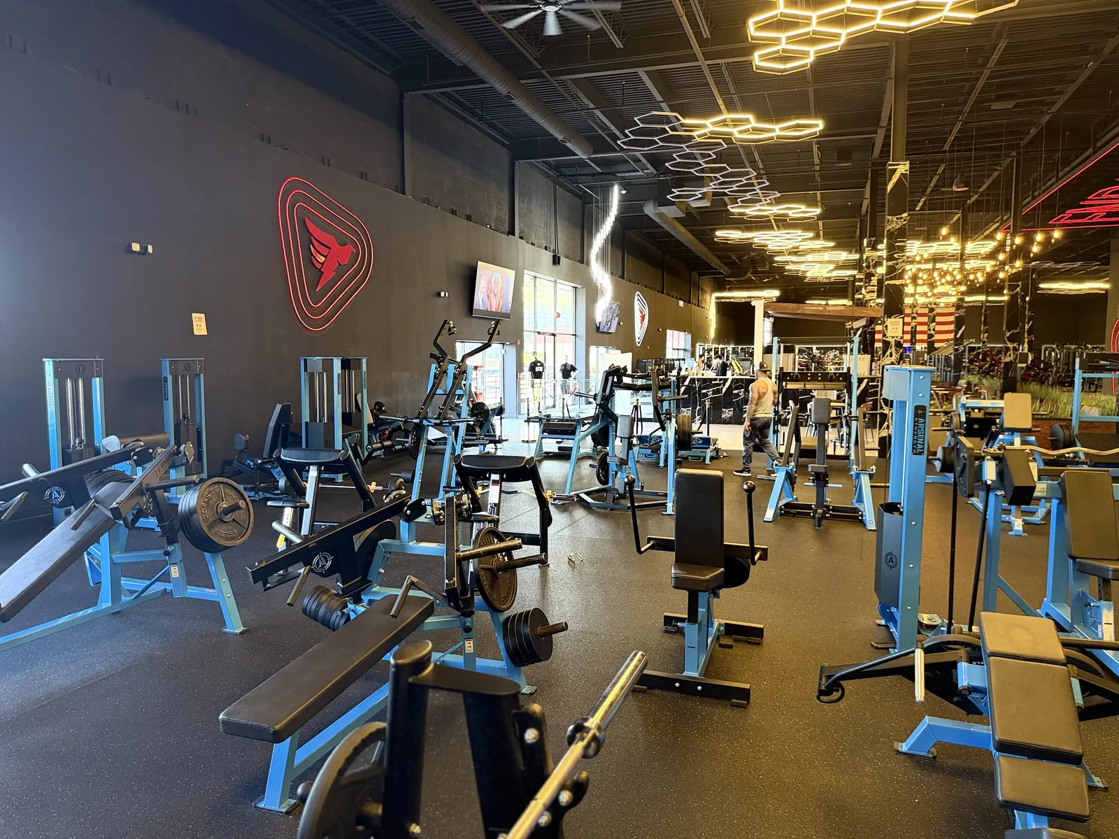 Row of selectorized and plate-loaded machines on the gym floor